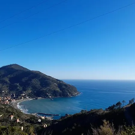 La Calla Rossa Λεβάντο