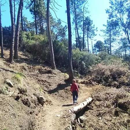 La Calla Rossa Λεβάντο