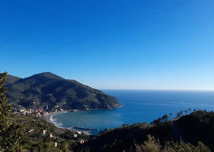 La Calla Rossa Λεβάντο