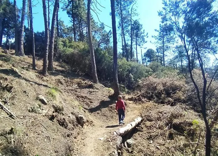 La Calla Rossa Λεβάντο