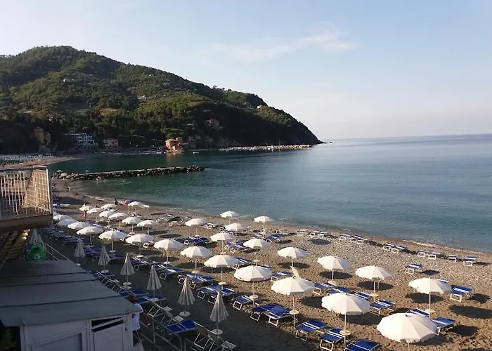 La Calla Rossa Λεβάντο