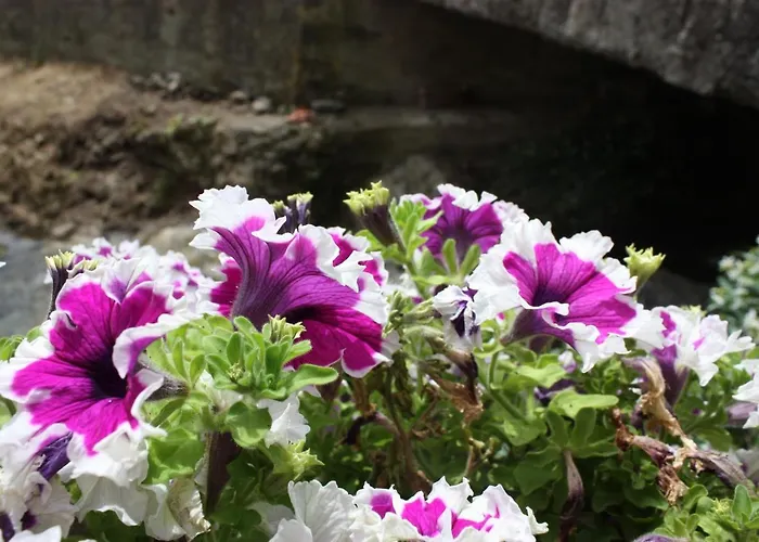 Διαμέρισμα La Calla Rossa Λεβάντο