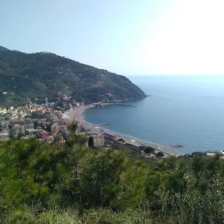La Calla Rossa * Levanto